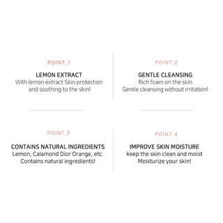 LEBELAGE Lemon Cleansing Foam (100ml / 3.38 fl.oz)